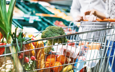 Endless Supply Chain Visibility through Composable Assets 