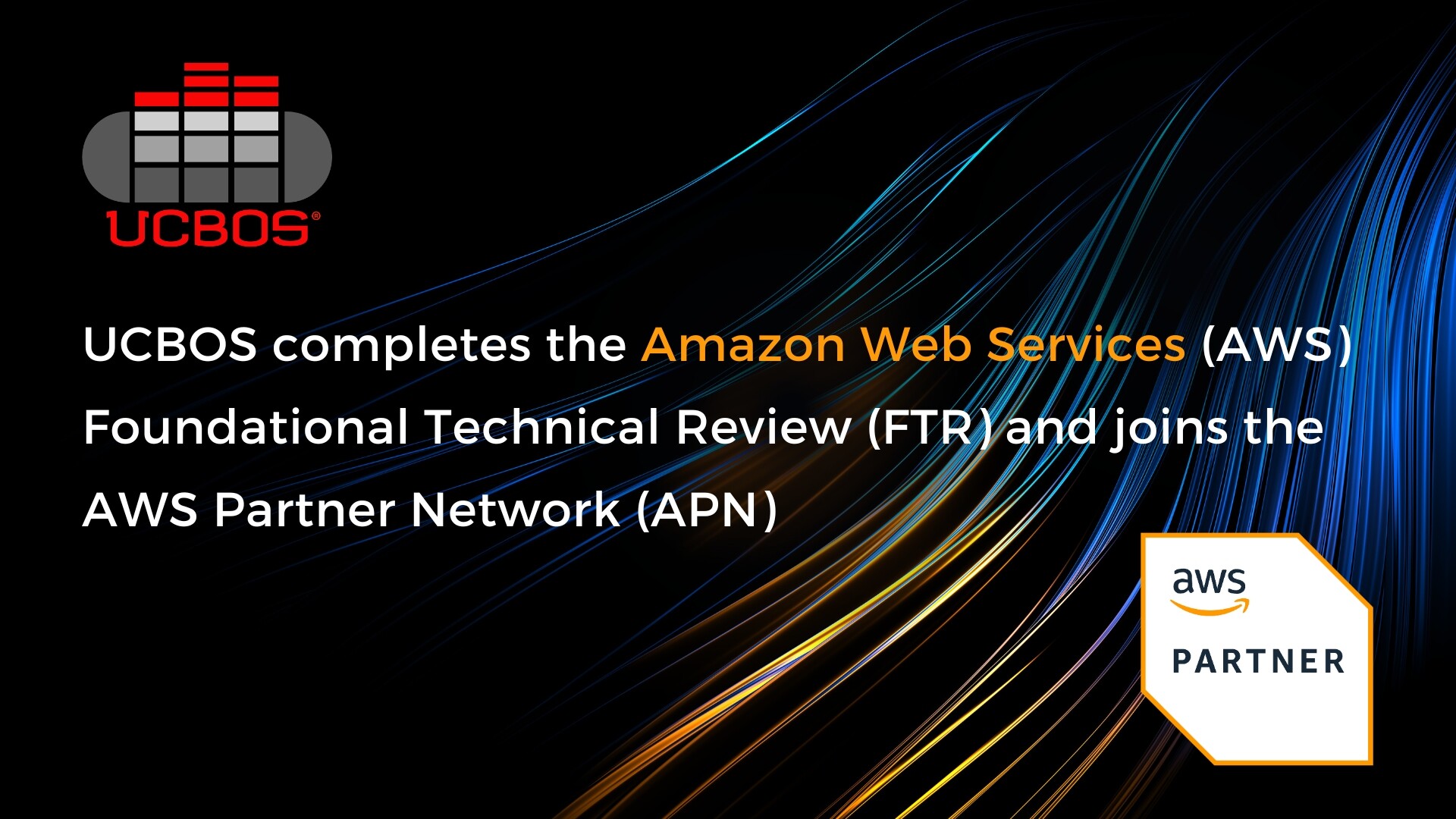 Digital Innovator Award