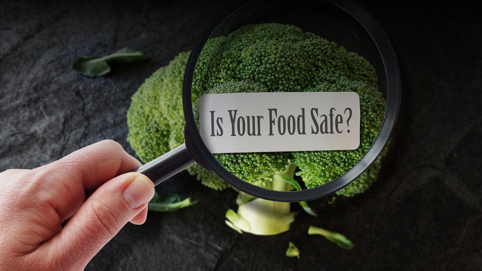 Food Safety with Traceability